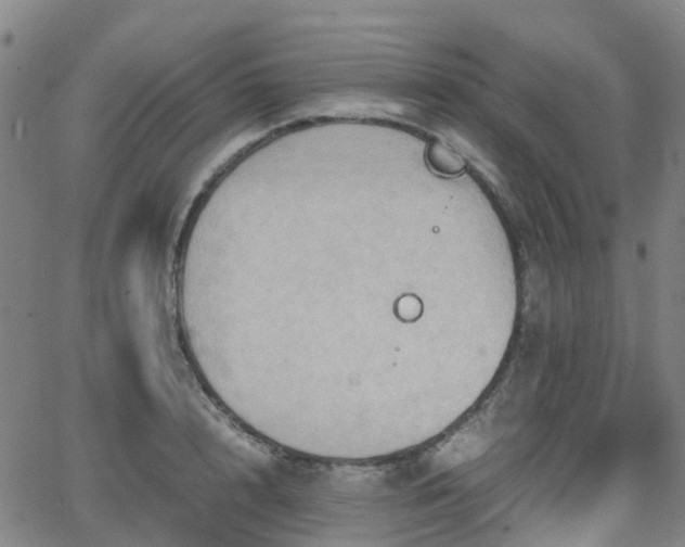 X0000064040848200601301147