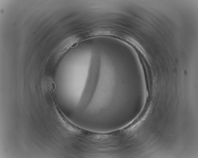 X0000064040849200601301147