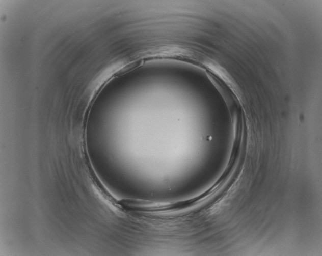 X0000064040850200601301147