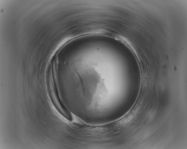 X0000064040851200601301147