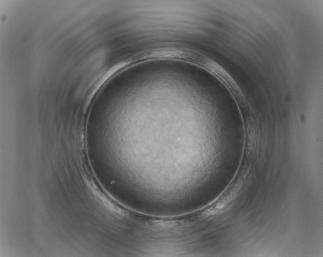 X0000064040852200601301147