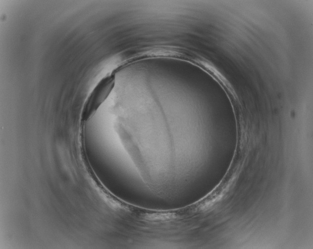 X0000064040853200601301147