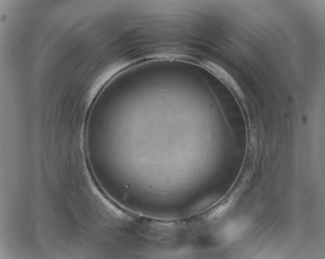 X0000064040855200601301147