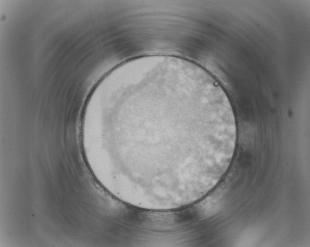 X0000064040856200601301147