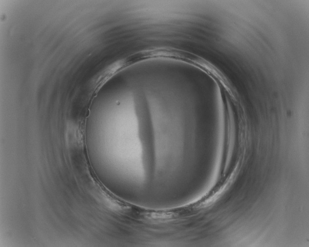 X0000064040857200601301147