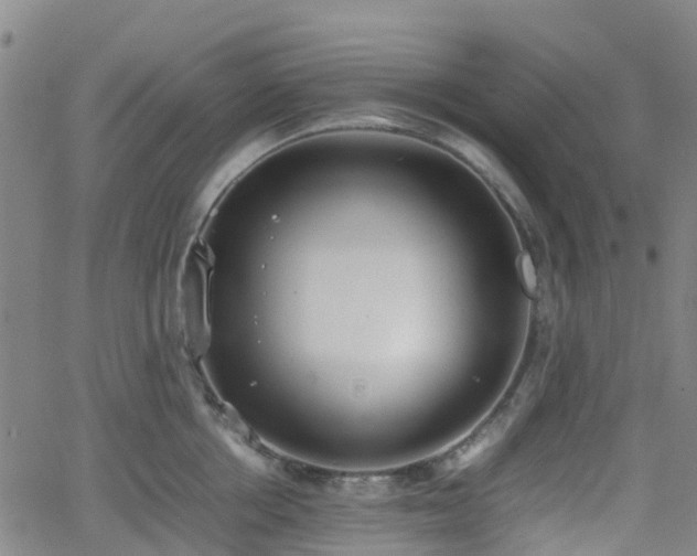 X0000064040858200601301147