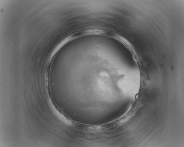 X0000064040859200601301147