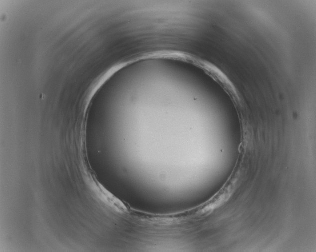 X0000064040860200601301147