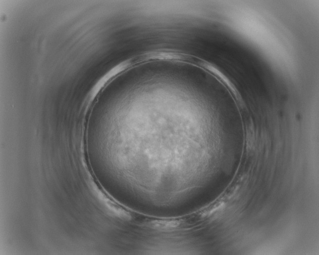 X0000064040861200601301147