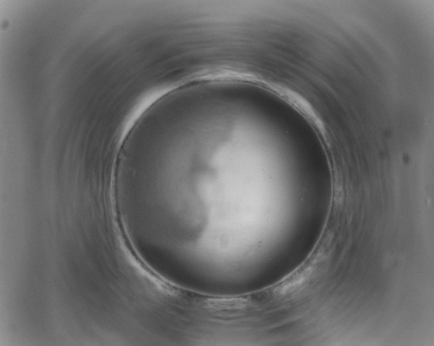 X0000064040863200601301147