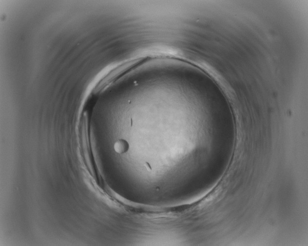 X0000064040864200601301147