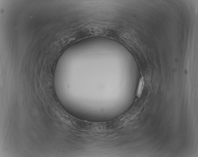 X0000064040865200601301146