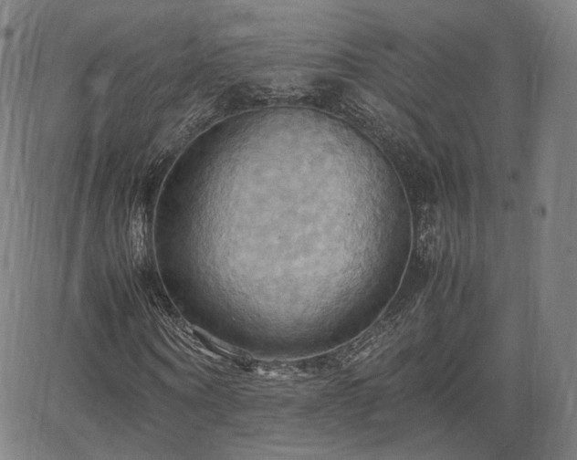 X0000064040866200601301146