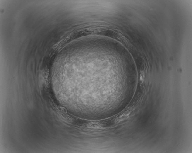 X0000064040867200601301146