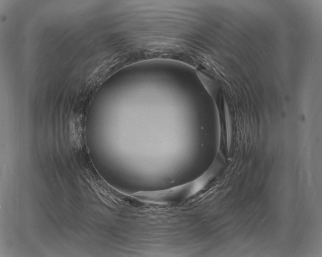 X0000064040868200601301146