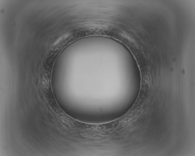 X0000064040869200601301146