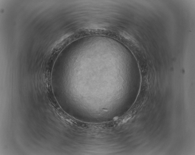 X0000064040870200601301146