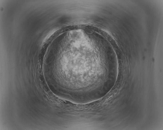 X0000064040871200601301146