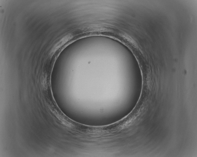 X0000064040873200601301146