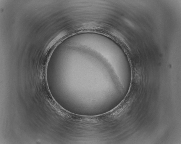 X0000064040874200601301146