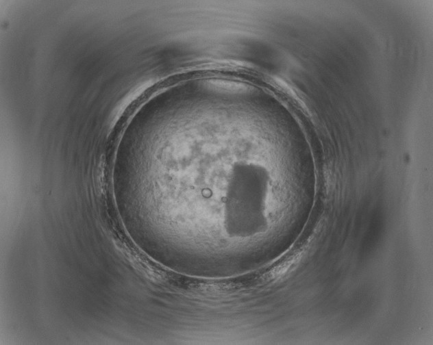 X0000064040875200601301146