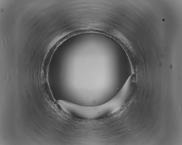 X0000064040876200601301146