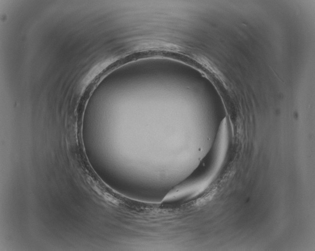 X0000064040877200601301146