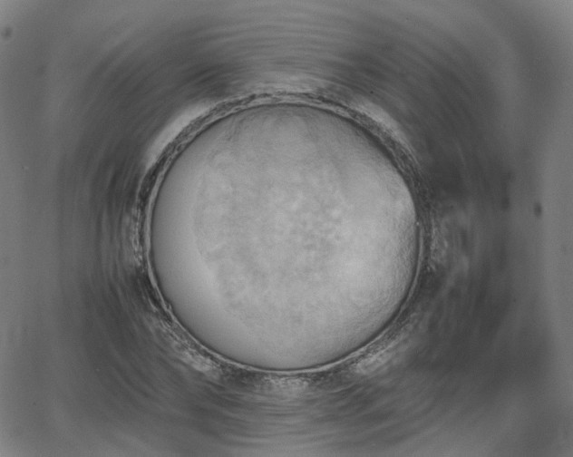 X0000064040878200601301146