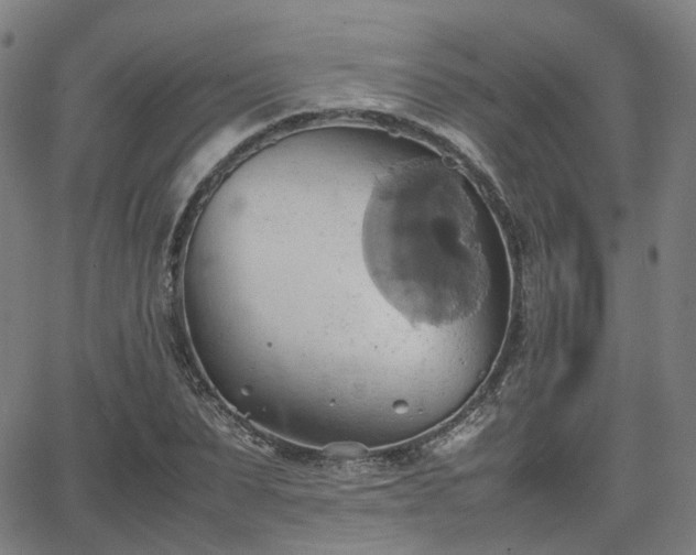 X0000064040879200601301146