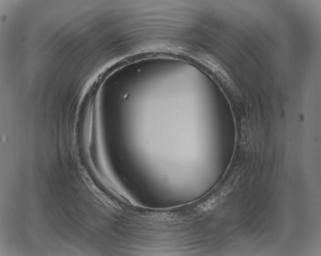 X0000064040880200601301146