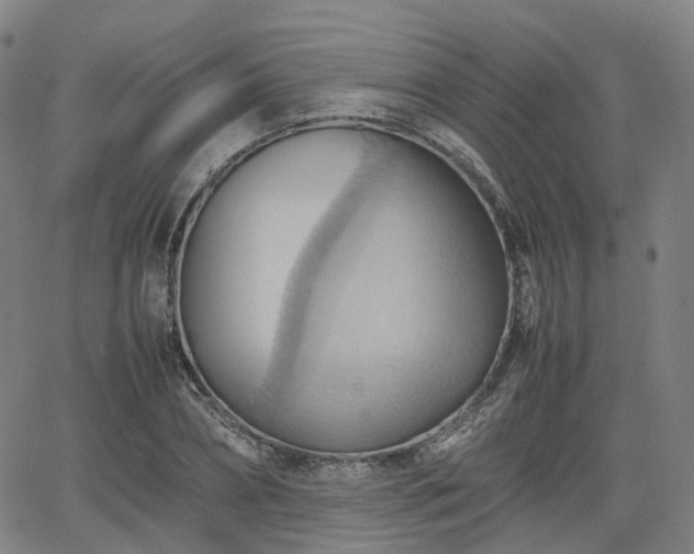 X0000064040882200601301146