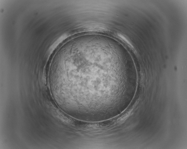 X0000064040883200601301146