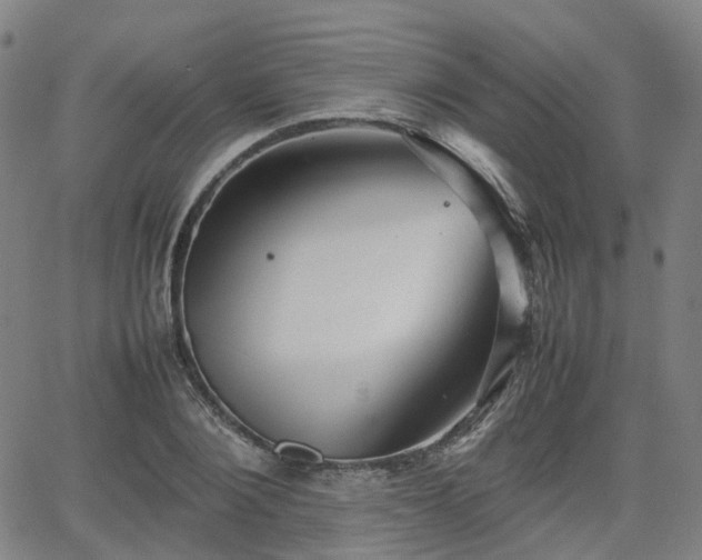 X0000064040884200601301146