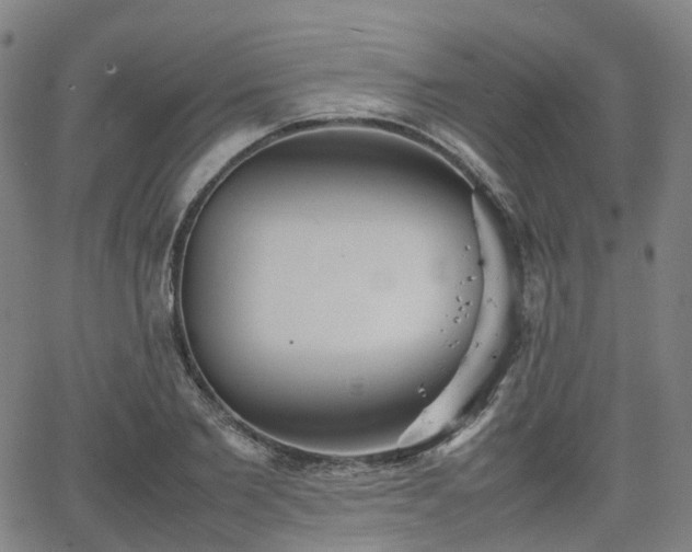 X0000064040885200601301146