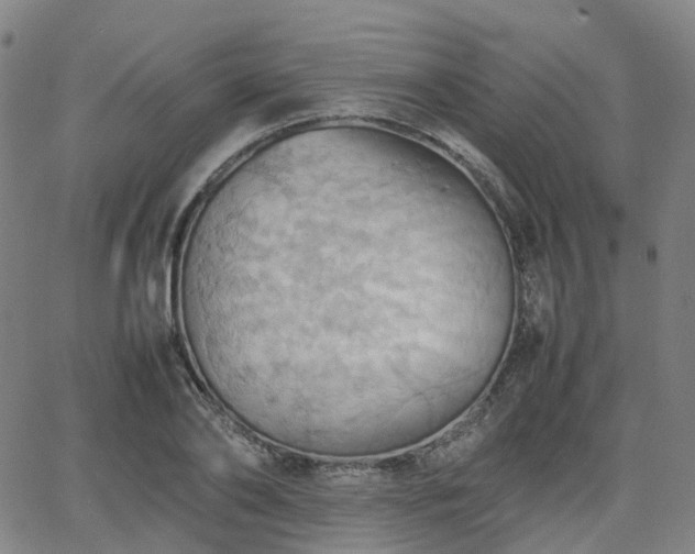 X0000064040886200601301146