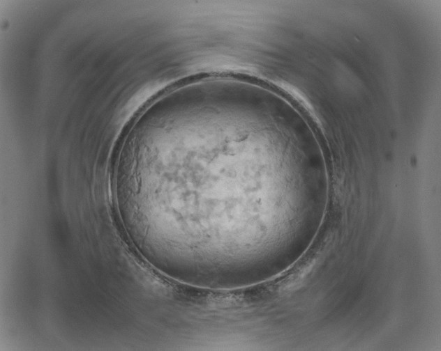 X0000064040887200601301146