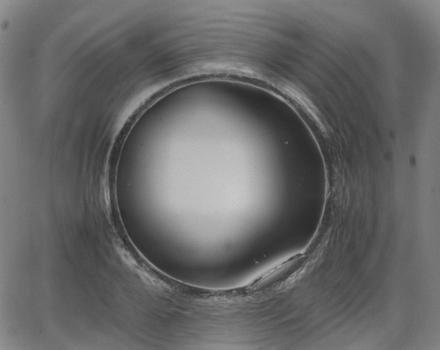 X0000064040888200601301146