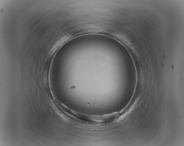 X0000064040889200601301146