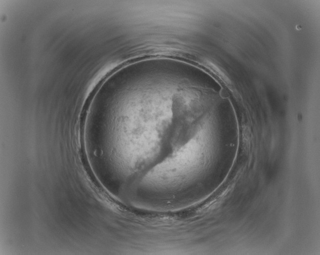 X0000064040891200601301146