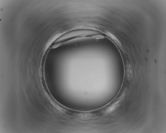 X0000064040893200601301146