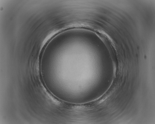 X0000064040894200601301146