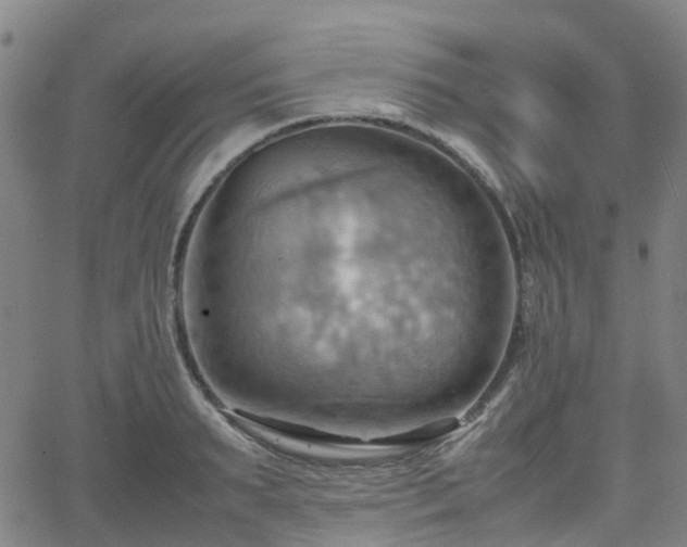 X0000064040895200601301145