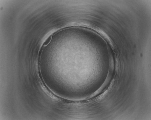 X0000064040896200601301145