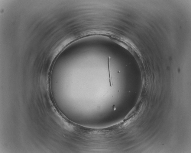 X0000064040898200601301145