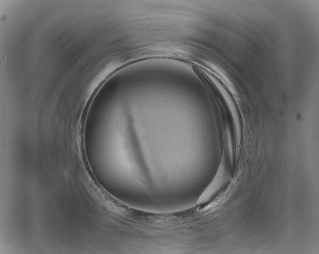 X0000064040899200601301145