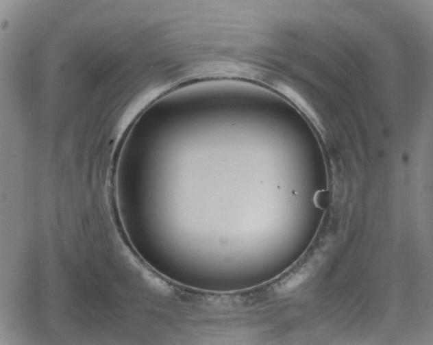 X0000064040901200601301145