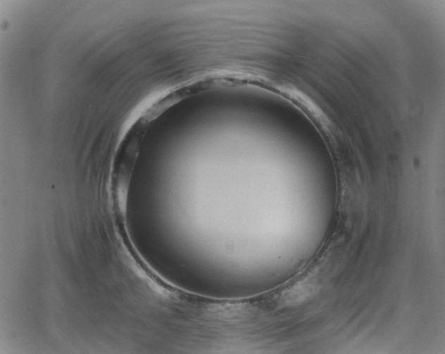 X0000064040902200601301145