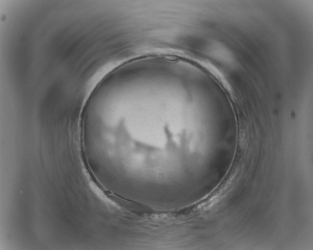 X0000064040903200601301145