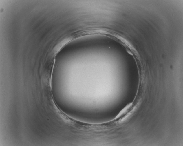 X0000064040905200601301145