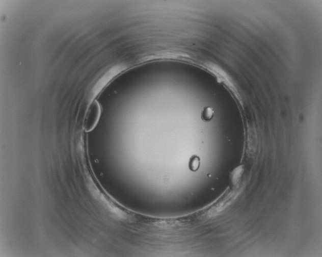 X0000064040906200601301145